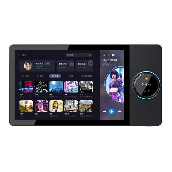 Central de Som F8 Android 9"