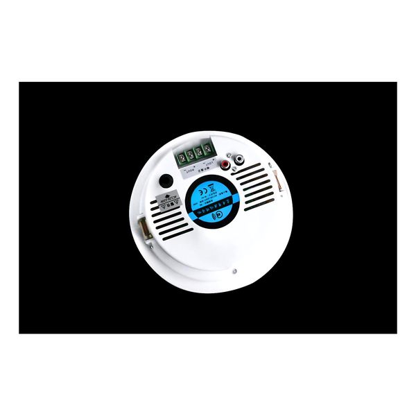 Coluna de Teto SM-805 5"